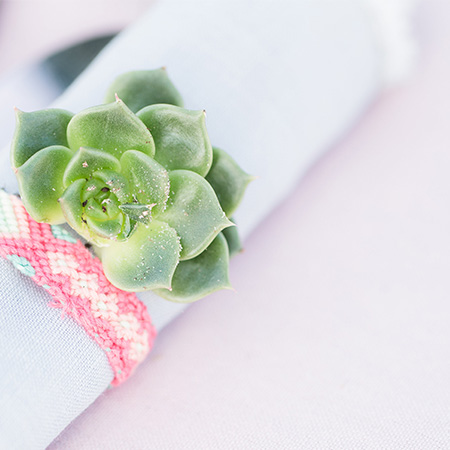stijlvolle servetdecoratie met mini vetplantje